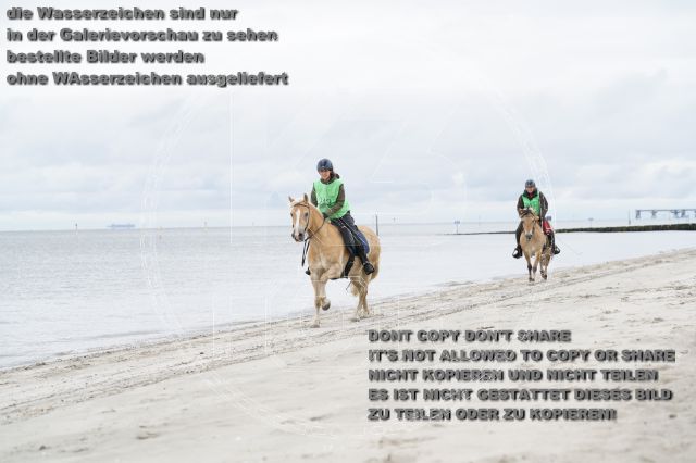 s_K3F04766.JPG